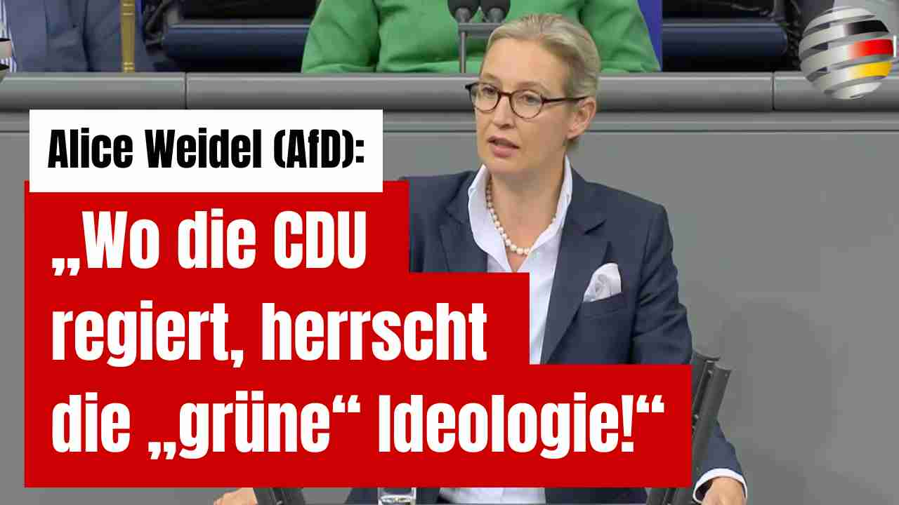 Alice Weidel (AfD): „Wo die CDU regiert, herrscht die „grüne“ Ideologie!“