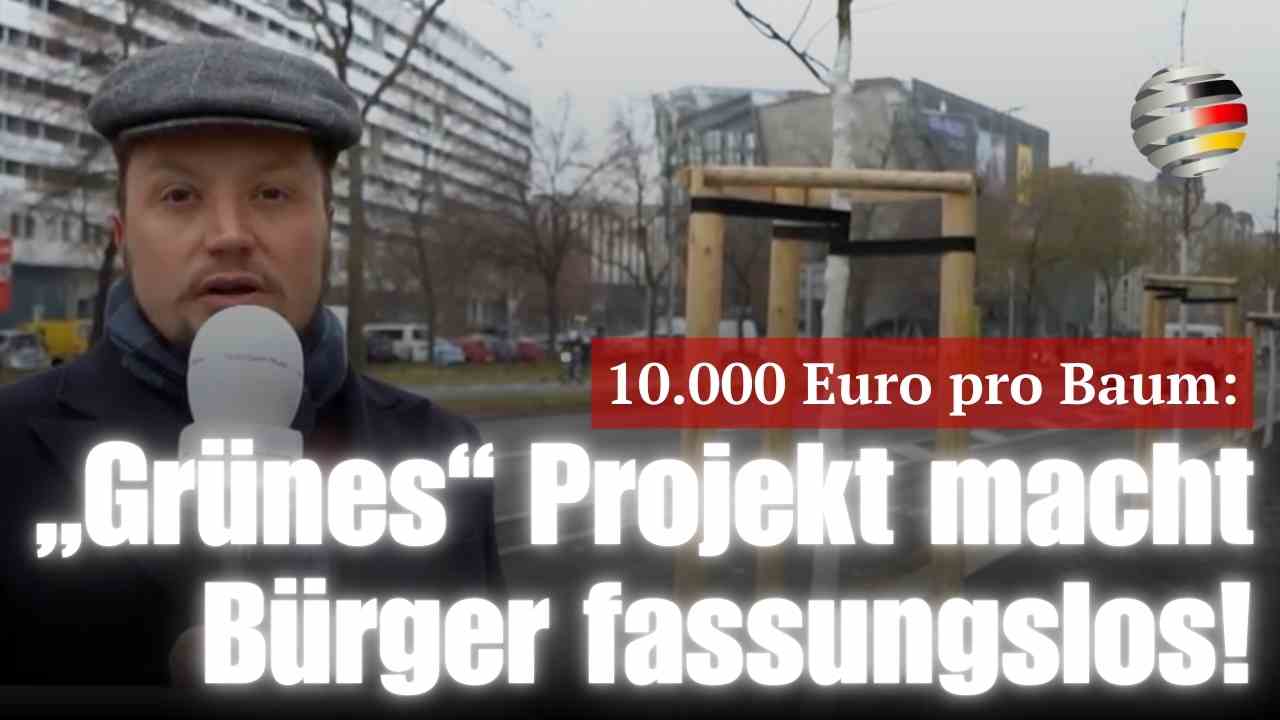 10.000 Euro pro Baum: „Grünes“ Projekt macht Bürger fassungslos! 10.000 Euro pro Baum: „Grünes“ Projekt macht Bürger fassungslos!