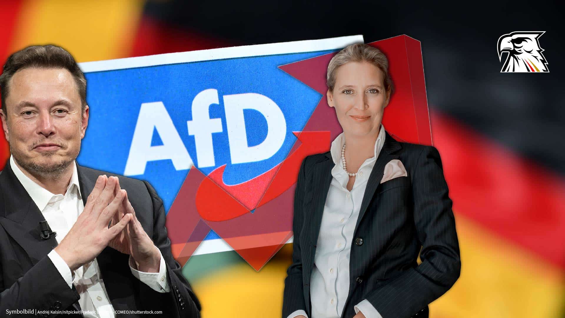 AfD legt nach Musk-Talk weiter zu: Schon fast jeder dritte Deutsche kann sich vorstellen, AfD zu wählen!