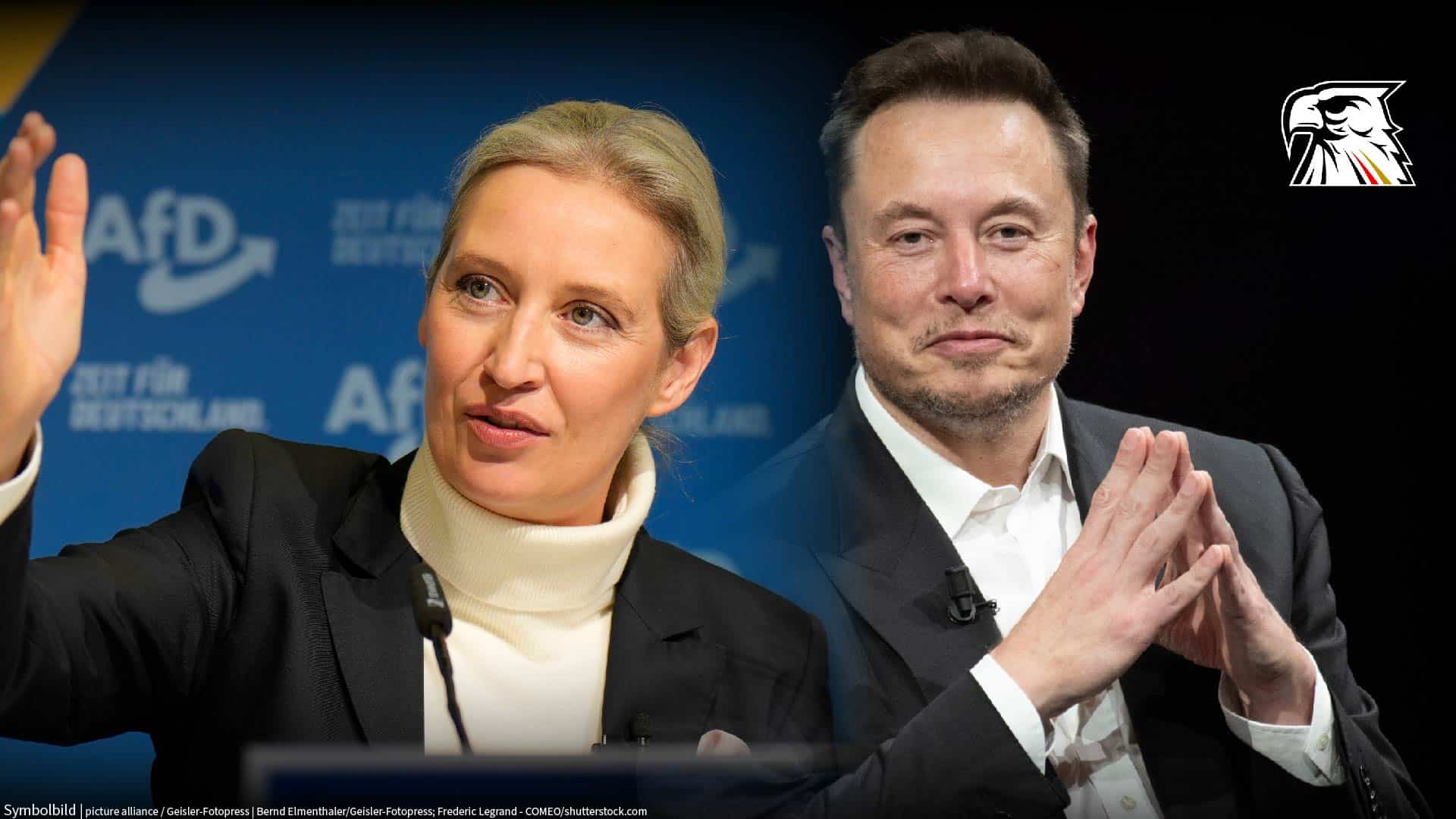 IT’S SHOWTIME: Katapultiert der Live-Talk zwischen Alice Weidel und Elon Musk die AfD auf 30 Prozent?