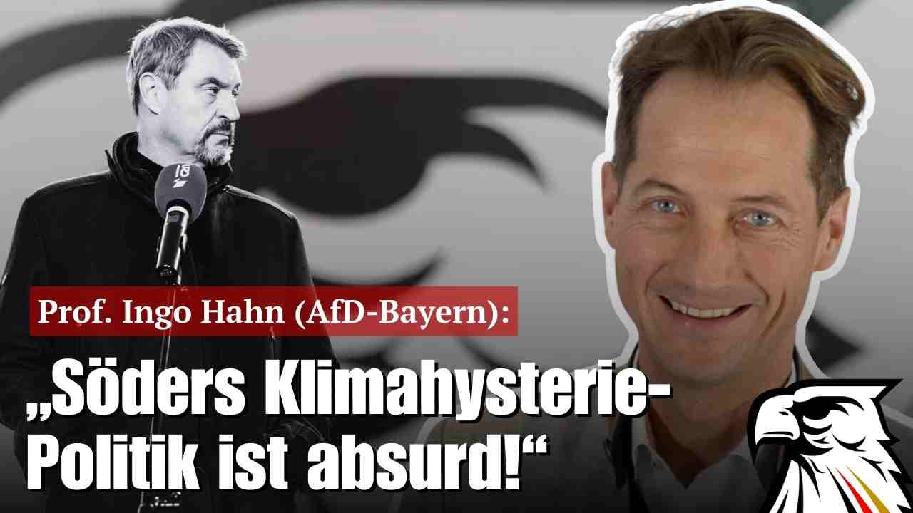 hahn.jpg