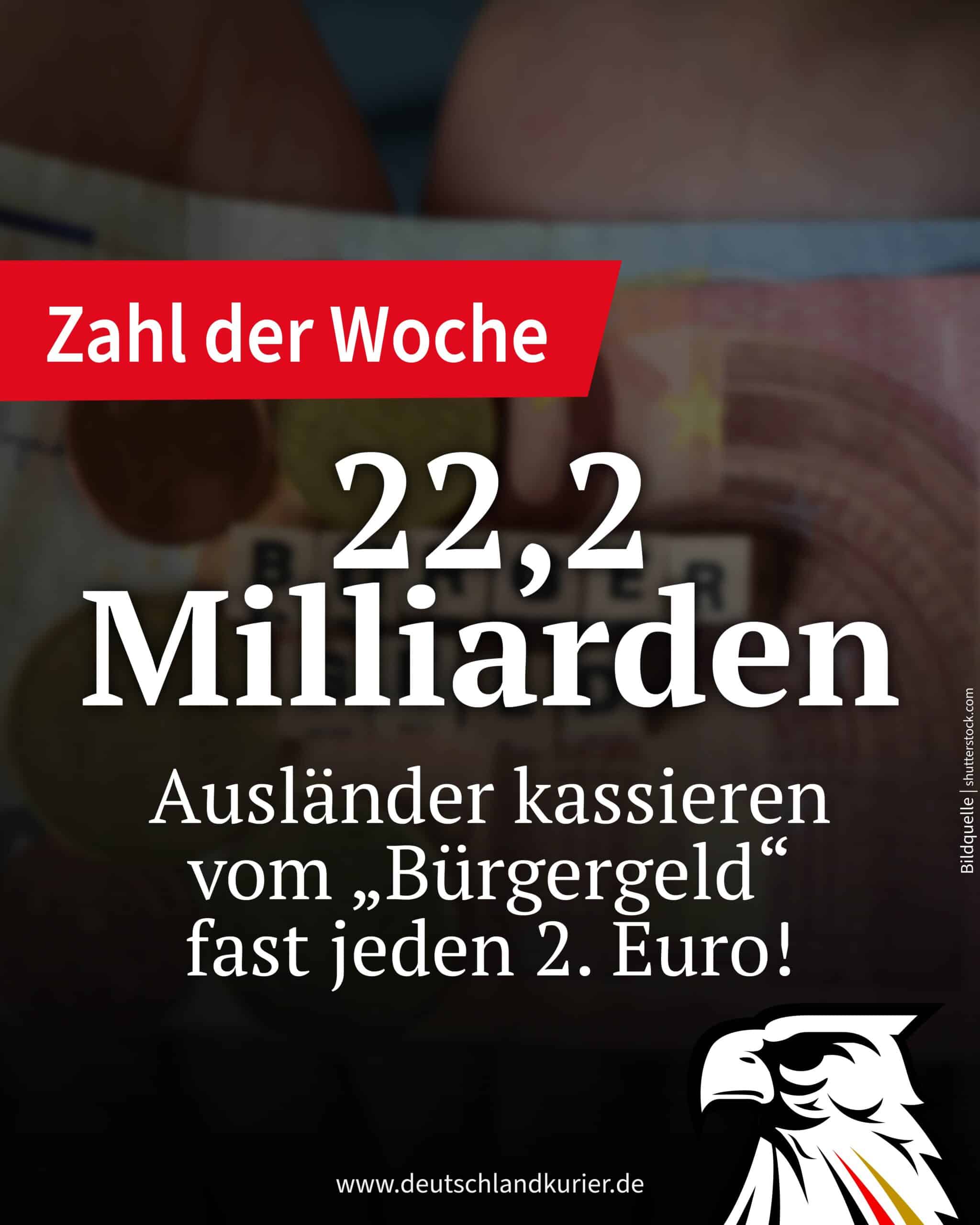 22,2 Milliarden Ausländer kassieren vom „Bürgergeld“ fast jeden 2. Euro! 22,2 Milliarden Ausländer kassieren vom „Bürgergeld“ fast jeden 2. Euro!