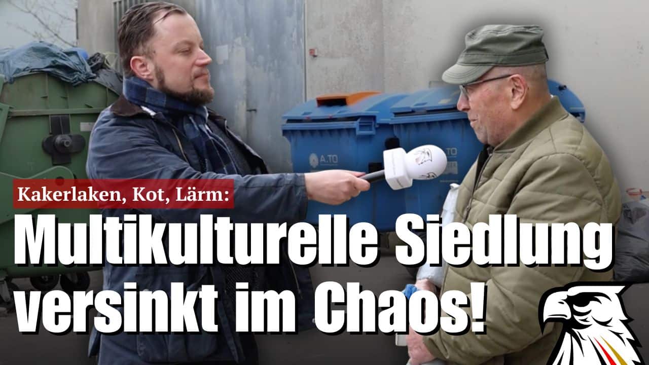Schock-Reportage: Kakerlaken, Kot & Lärm: Chaos in nordsächsischer Migranten-Siedlung!