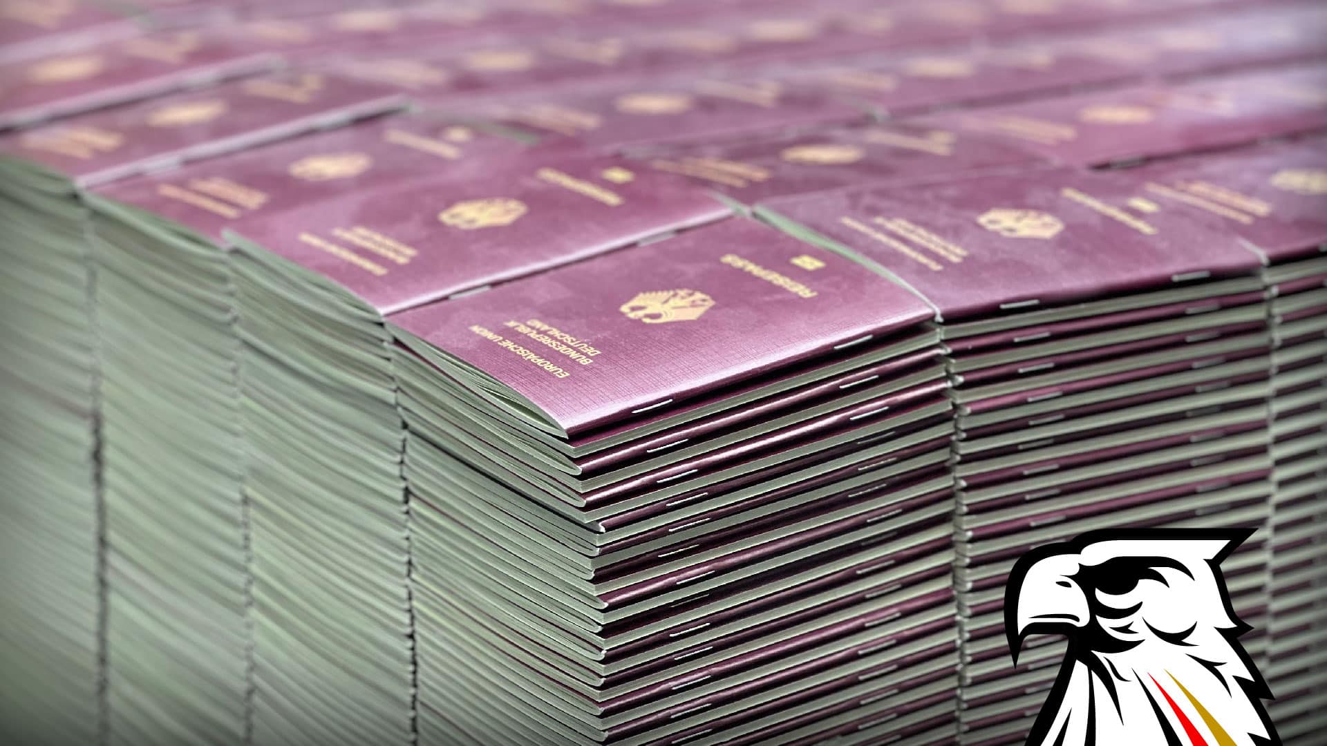 Turbo-Einbürgerungen: 2024 erhielten so viele Ausländer den deutschen Pass wie nie zuvor!