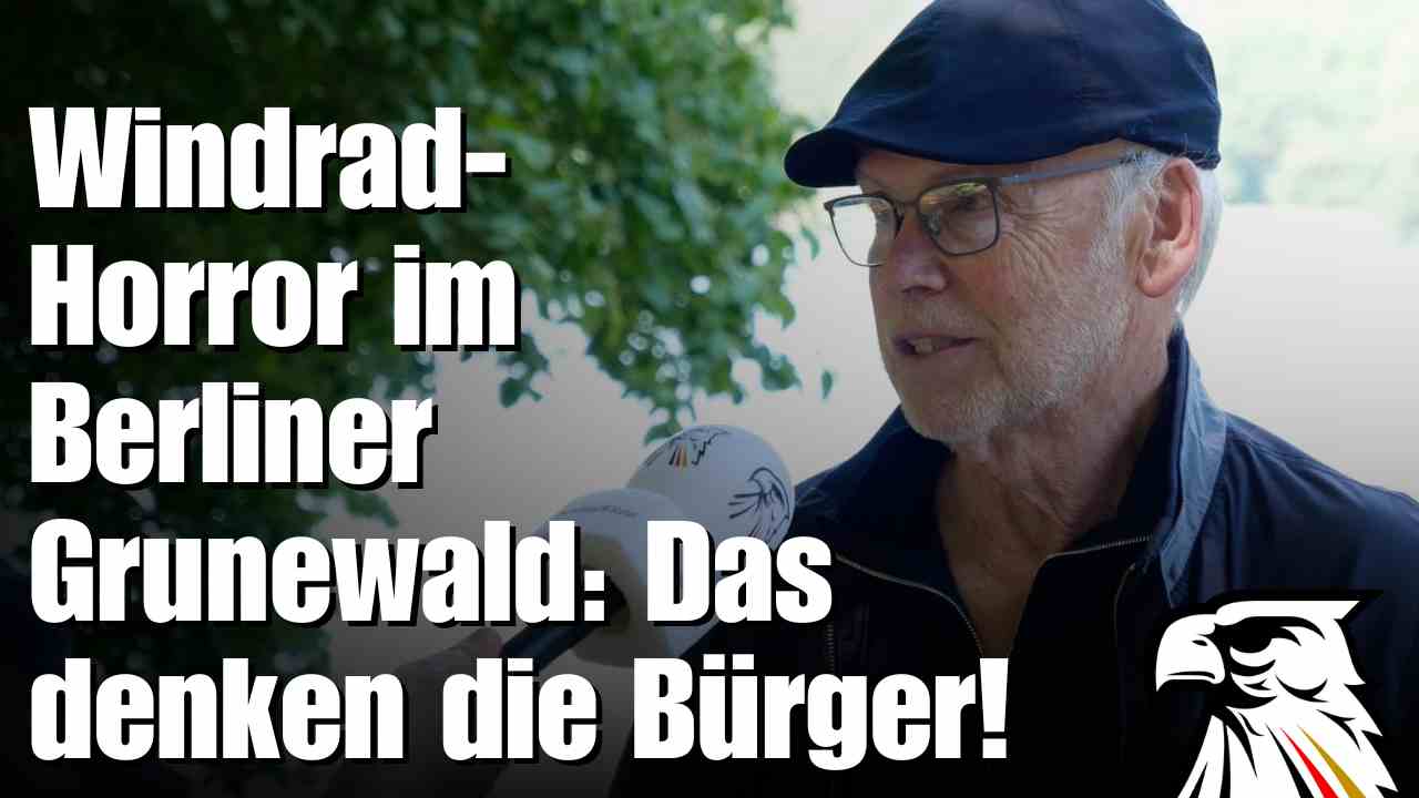 Windrad-Horror im Berliner Grunewald: Das denken die Bürger!