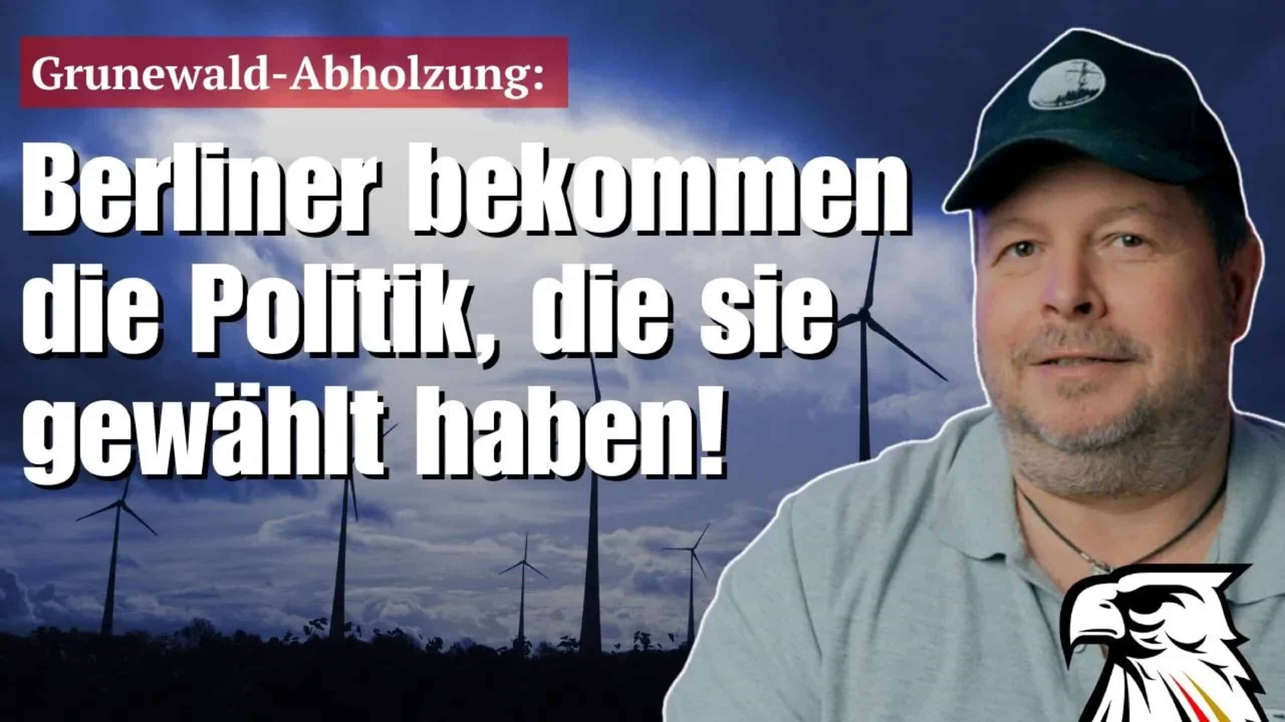 Grunewald-Abholzung: Berliner bekommen die Politik, die sie gewählt haben!