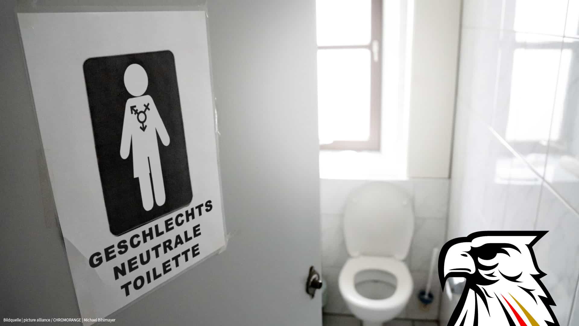 Irrenhaus Deutschland: Transfrau besteht auf Sonderklo im Gericht