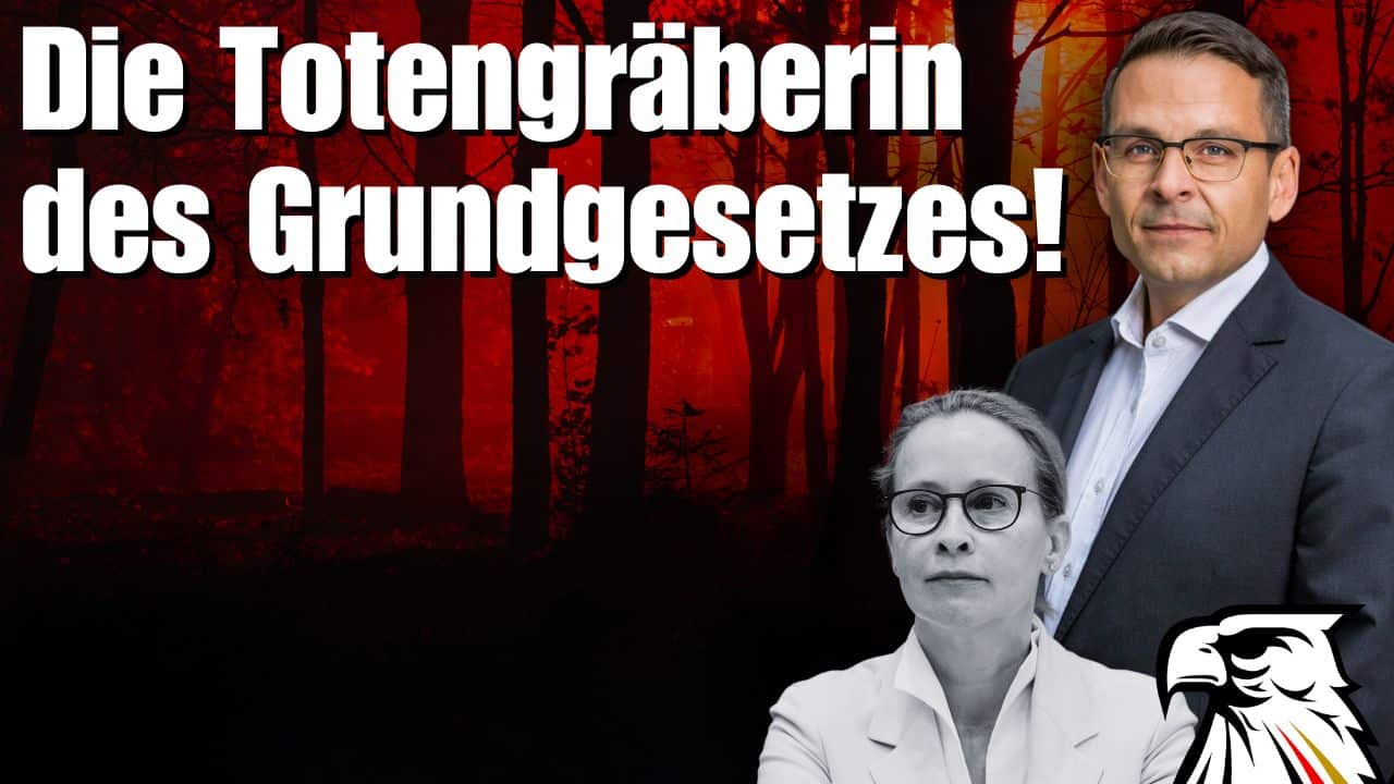 Die Totengräberin des Grundgesetzes: Was uns mit Frauke Brosius-Gersdorf als Verfassungsrichterin droht!