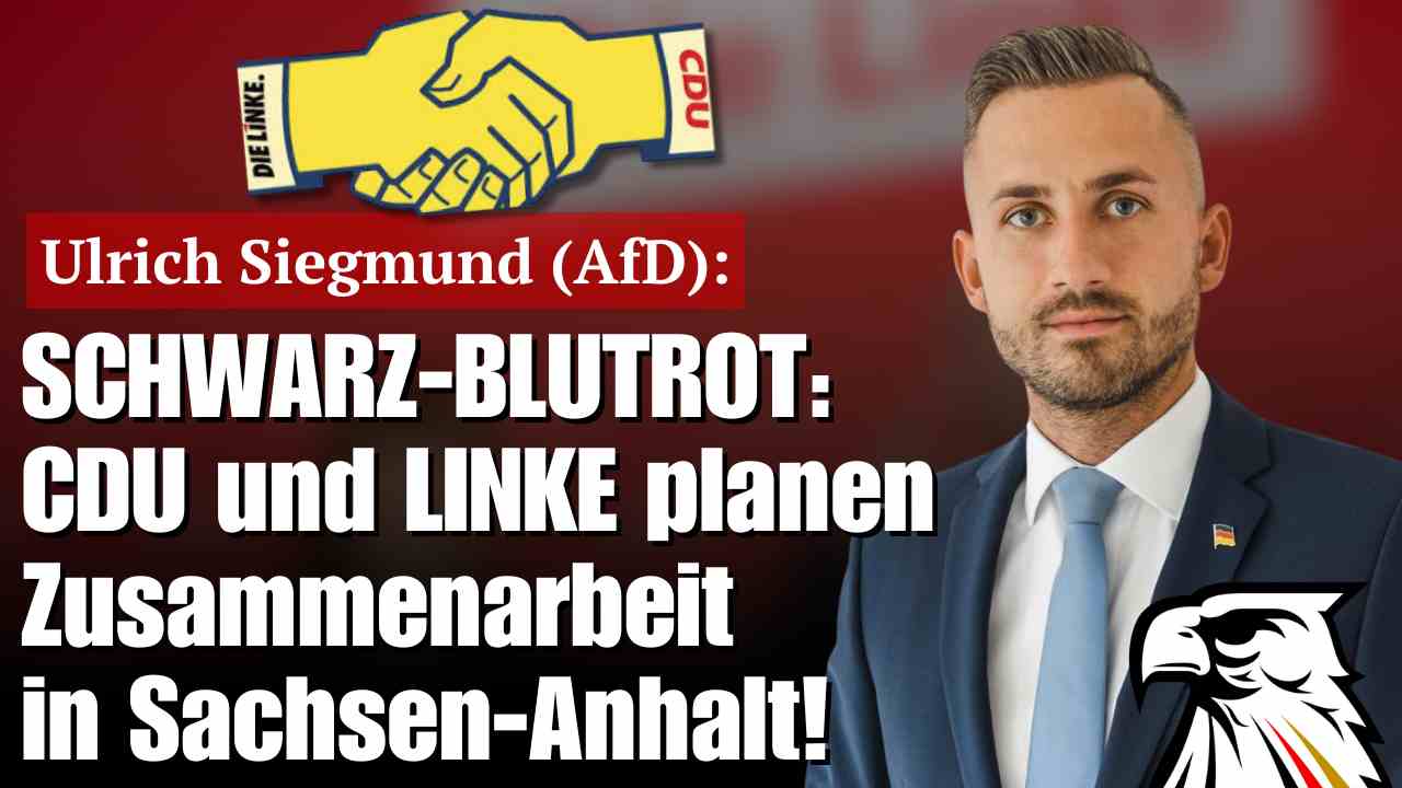 SCHWARZ-BLUTROT: CDU und LINKE planen Zusammenarbeit in Sachsen-Anhalt! | Ulrich Siegmund (AfD-Spitzenkandidat)