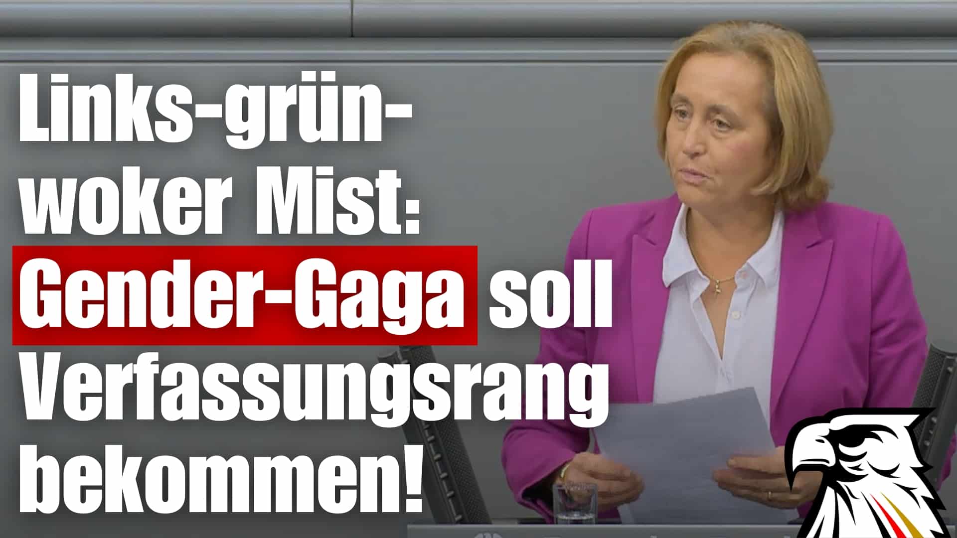 Links-grün-woker Mist: Gender-Gaga soll Verfassungsrang bekommen! | Beatrix von Storch (AfD)