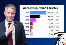 Thüringen-Hammer: Neue Umfrage sieht AfD stärker als CDU, SPD und BSW zusammen!
