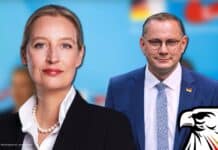 AfD-Chefs: „Befristete Spritsteuer-Senkung ist ein schlechter Witz!“