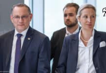 Altparteien in Panik: Das sind die Gründe für den AfD-Boom!