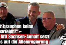 „Wir brauchen keine Altparteien!“ – Die AfD Sachsen-Anhalt setzt alles auf die Alleinregierung
